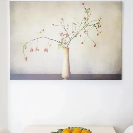 Modern Living - Santa Catarina Oporto