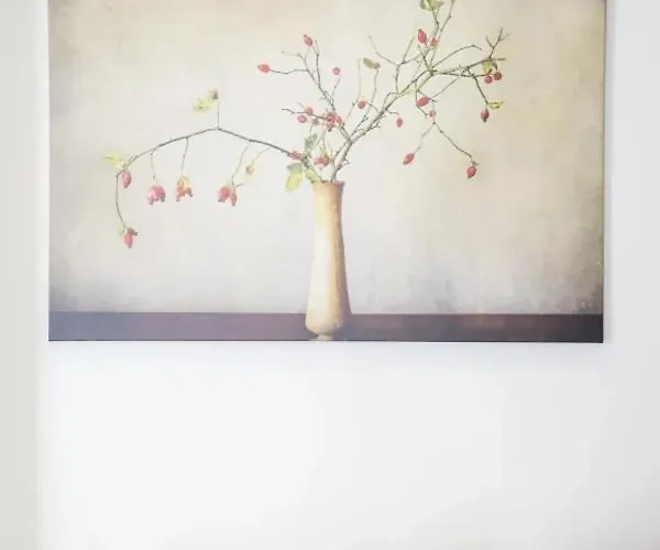 Modern Living - Santa Catarina Porto